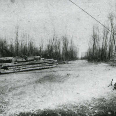 89-1-495 Henry Bird Lumber Camp.jpg: 218 KB from Rob Carey CDs