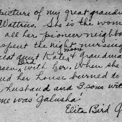 bf032A.jpg 193KB - handwritten note on back of bf032.jpg: This is a picture of my great grandmother Mary Wattrus. She is the woman who nursed all her pioneer neighbors. She went and spent the night nursing and took great Aunt Kate Moore and Grandma Desiah Van Housen Bird with her. When she returned she found her hosue burned to the ground and her husband and 3 sons with it. Her name was 'Galusha.' Elita Bird Graves