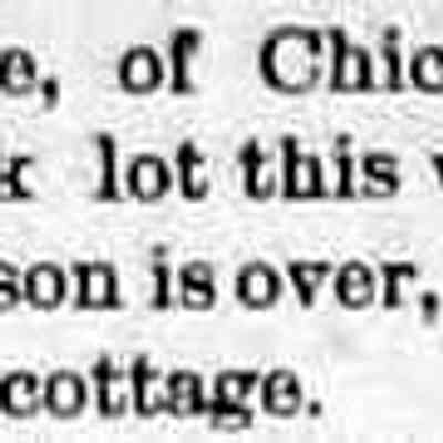 cr1898070101MrsTreloreToBuildParkCottage.jpg 8KB: Mrs. Trelore of Chicago