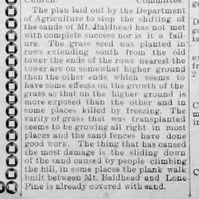 cr1906060802PlanToStopShiftingSand.jpg 30KB: grass planted