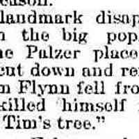          cr1891122501LandmarkPoplarOnGriffithFelled.jpg 19KB; Tim Flynn's tree, a poplar, in front of the Palzer place on Griffith.
   