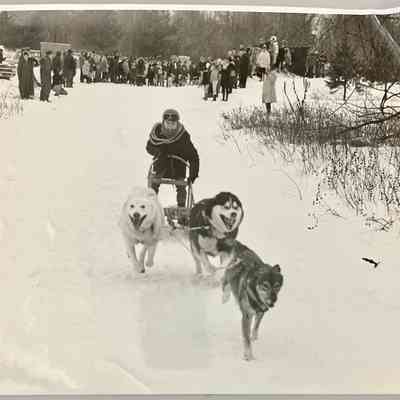 8x10 photo print: Written on back "Doug Houghton of Grand Rapids typifies the junior mushers enthusiasm for the sport of dog sled racing."