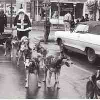          Digital image from same event; DogTeamSaugatuckDowntown.jpg 922KB from 2021.72.02 2
   