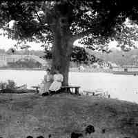          Under big oak - Lane plate.jpg 1.2MB
   