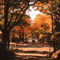 Saugatuck Public Square News