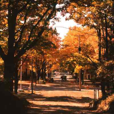 Saugatuck Public Square News