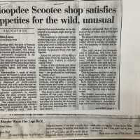          Hoopdee Scootee archival materials picture number 2
   