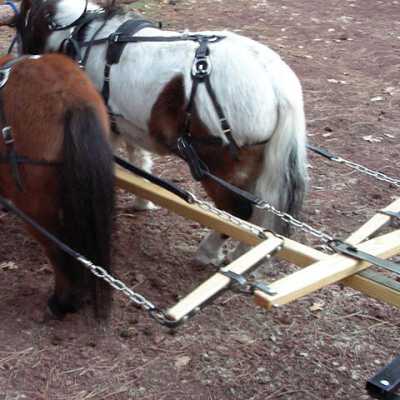 example of a doubletree used to harness two ponies