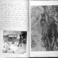 Simonds Pier Cove album vol.1 picture number 6