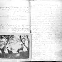 Simonds Pier Cove album vol.1 picture number 9