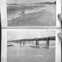 Simonds Pier Cove album vol.1 picture number 26