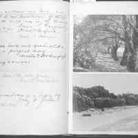 Simonds Pier Cove album vol.1 picture number 50