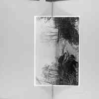 Simonds Pier Cove album vol.1 picture number 86