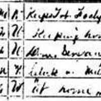          17KB; After his Union Army service was over James G. Butler returned to Michigan only long enough to marry Margaret Leggat of Grand Haven in 1868 and moved to St, Louis, Missouri, where he was engaged in the tobacco business. In this 1 870 census his occupation is listed as 