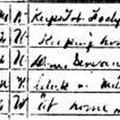 17KB: After his Union Army service was over James G. Butler returned to Michigan only long enough to marry Margaret Leggat of Grand Haven in 1868 and moved to St, Louis, Missouri, where he was engaged in the tobacco business. In this 1 870 census his occupation is listed as "Keeps Tob. Facty" and his real estate holdings amount to $75;000, a large sum for the time. The couple employed one German-born "domestic servant" and had additional boarders.