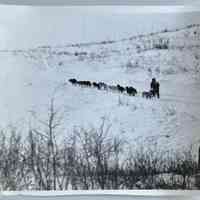          Photo 3 - Horizontal image of sled driving away, 7x9