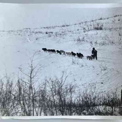Photo 3 - Horizontal image of sled driving away, 7x9"