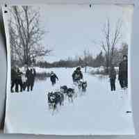          Photo 4 - Square image of sled driving toward the camera with spectators on both sides 6.5x6.5