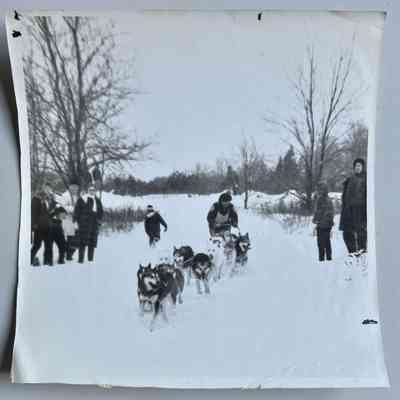 Photo 4 - Square image of sled driving toward the camera with spectators on both sides 6.5x6.5"