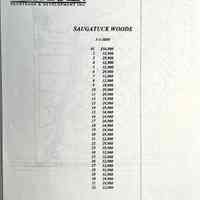          Saugatuck Woods subdivision 2000 picture number 2
   