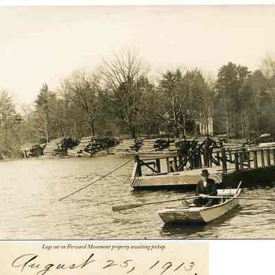 Ferry_with_logs_1913.jpg 1.5KB: Logs cut on Forward Movement property awaiting pickup. August 25, 1913