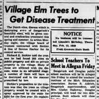          CR 1959 Feb 06 Dutch Elm.jpg
   