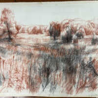          Abstract trees and dune by Phillip Bonard
   