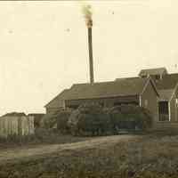          CWPC-0558ToddsMintStill.JPG 183KB
   