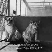 Getz Zoo and Lakewood Farm