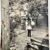          Storm damage and electric line repair picture number 1
   