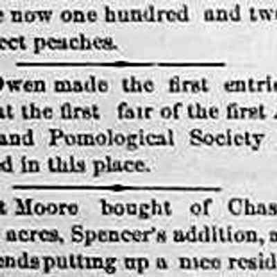 cr1871092302JSOwens.jpg: J.S. Owen Agricultural and Pomological Society fair