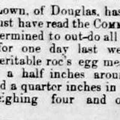cr1880052101EdLownHen.jpg: Ed Lown's chicken egg