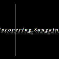 Discovering Saugatuck/A Place Called Saugatuck
