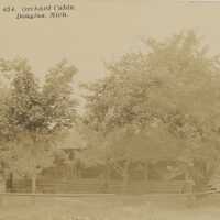          Orchard Cabin, Douglas Mich. Postcard
   