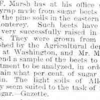          cr1891010201HFMarsh-SugarBeetSyrup.jpg; H.F. March growing sugar beets
   