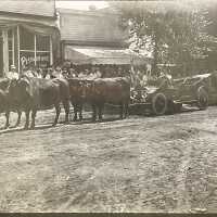 Oxen pulling car on Butler St.