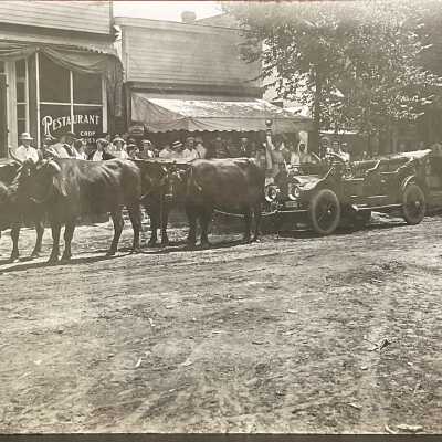 Oxen pulling car on Butler St.