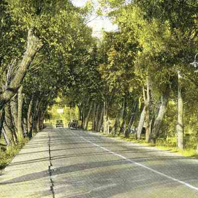 CWPC-0250Bridge.JPG 666KB: Swing bridge causeway with trees, paved