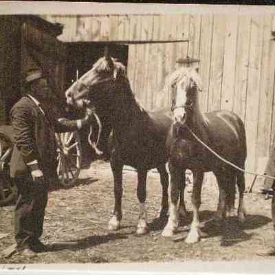 BarrFarm-Horses-HiredMen-1914.JPG 46KB