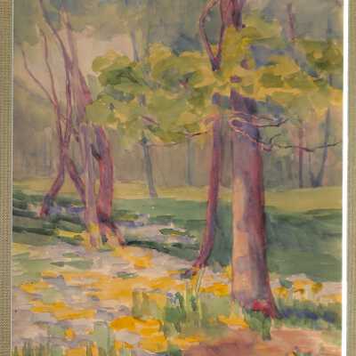 Trees in a Glenn