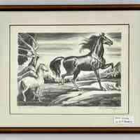          Wild Stallion picture number 1
   