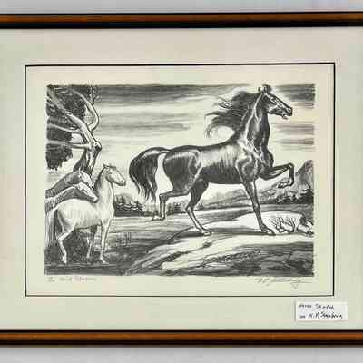 Wild Stallion