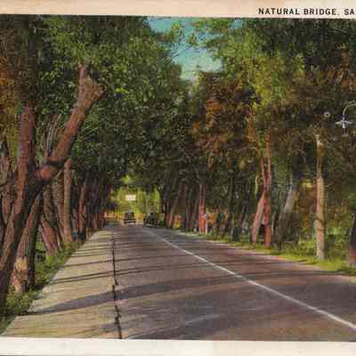 BridgeTrees.jpg 4.5MB