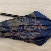 Parasol