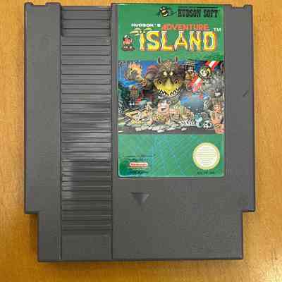 Hudson's Adventure Island