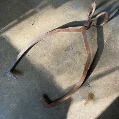 Ice tongs