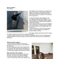          Stone and Steel/ Westra.pdf; Located at Saugatuck-Douglas District Library
   