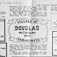          Village of Douglas Flag picture number 2
   
