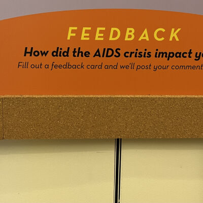 How did the AIDS crisis impact you?