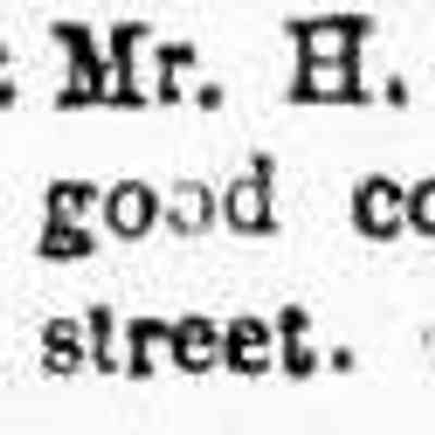 cr1877061501PalzerSidewalkMasonSt.jpg: H. Palzer lot on Mason St.